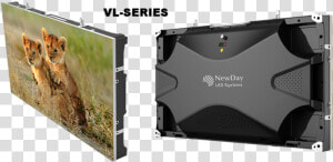 Vl 09   Airedale Terrier  HD Png Download