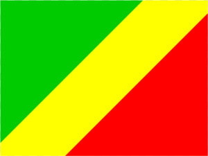 Guyana Flag Png  Transparent Png