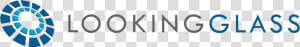 Lookingglass Cyber Solutions  HD Png Download