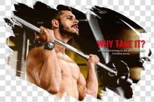 Bodybuilding  HD Png Download