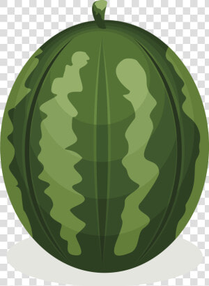 Watermelon Clipart Whole   Illustration  HD Png Download