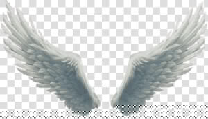  big  beautiful  white  fluffy  wings  angelwings  angel  HD Png Download