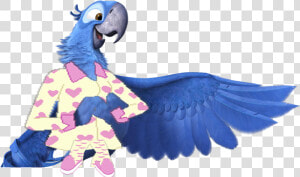 Blu Slumber Party   Blue Bird On Rio  HD Png Download