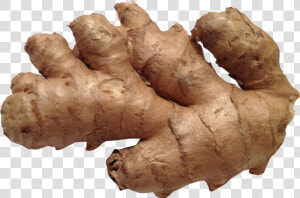 Ginger Png Image   Ginger Png  Transparent Png