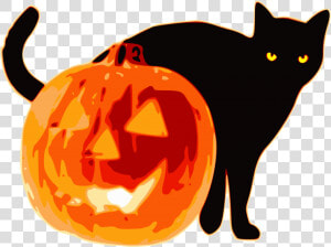Halloween Black Cat And Pumpkin   Halloween Cat And Pumpkin  HD Png Download