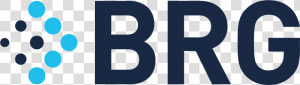 Berkeley Research Group Llc   Berkeley Research Group  HD Png Download