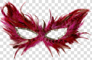 Carnival Mask Png Free Image Download   Feather Masquerade Mask Png  Transparent Png