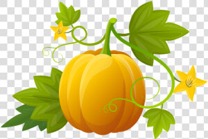 Pumpkin  Illustration  Plants  Vegetable  Leaves   Hoja De Calabaza Png  Transparent Png