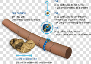 Size Of Particulate Matter  HD Png Download