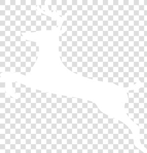 Download Hd White Deer Png   Deer White Png  Transparent Png