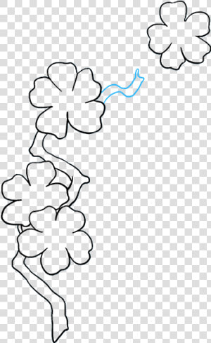 How To Draw Cherry Blossoms   Line Art  HD Png Download