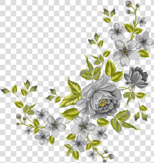  mq  grey  green  flowers  garden  nature   Transparent Background Flower Clipart  HD Png Download