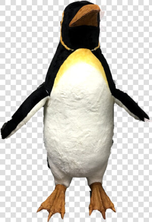 Animated Music Male Penguin W fins Moving  HD Png Download