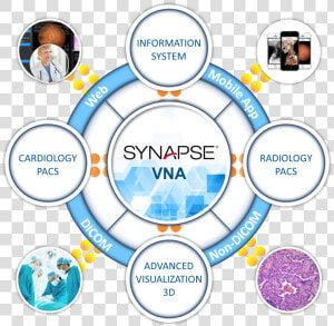 Synapse Vna  HD Png Download