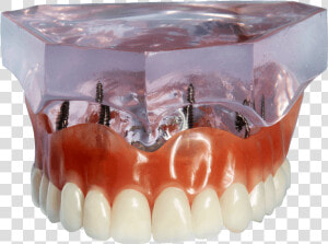 Jaw  HD Png Download
