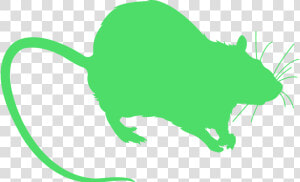 Mice Simple  HD Png Download