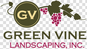Green Vine Landscaping Logo   Graphic Design  HD Png Download