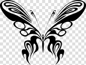 Butterfly Line Art 17 Clip Arts   Black White Butterfly Drawings  HD Png Download