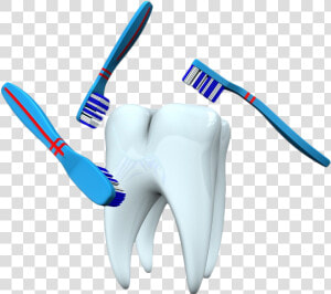 Single Teeth Png Background Image   Toothbrush  Transparent Png