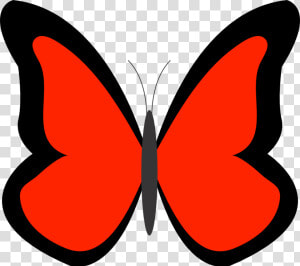 Transparent Borboleta Png   Blue Butterfly Clipart  Png Download