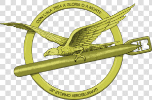 Ensign Of The 36º Stormo A   36 Stormo Aerosiluranti  HD Png Download