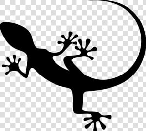 Gecko Top View Shape   Lizard Icon Png  Transparent Png