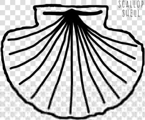 Drawing Shell Scallop   Yato Dharma Tato Jaya Logo  HD Png Download