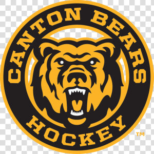 Canton Bears Hockey Logo  HD Png Download