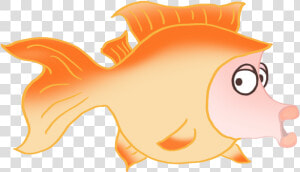 Funny Orange Cartoon Fish Drawing   Fish Hang Transparent Cartoon  HD Png Download