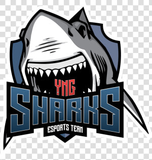 Sharks Esports  HD Png Download