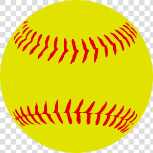 Clip Art Baseball Bats Softball Vector Graphics   Transparent Softball Vector  HD Png Download