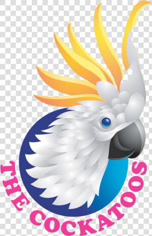 The Cockatoos   Cockatoo  HD Png Download