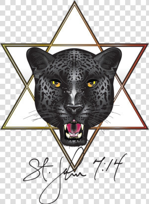 Cheetah   Png Download   Cheetah  Transparent Png