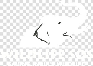 Bijli Png  Transparent Png