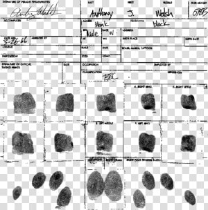 Fingerprint   Png Download   Igneous Rock  Transparent Png