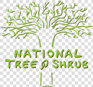 National Tree  amp  Shrub   Png Download  Transparent Png