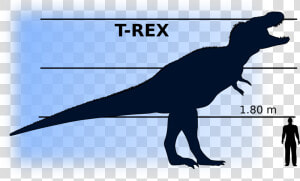 T rex Vs Man Clip Arts   Dinosaur Compared To Man  HD Png Download