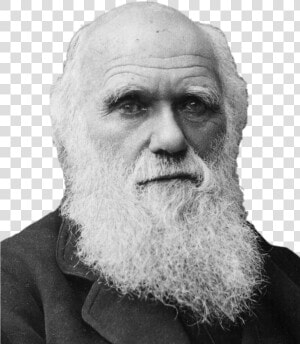 Charles Darwin Portrait   Charles Darwin  HD Png Download