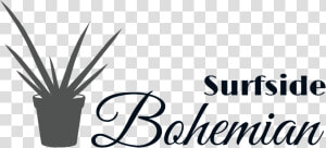 Bohemian Png  Transparent Png