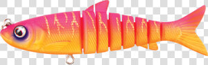 Fin  HD Png Download