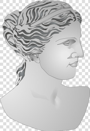 Bust  Roman  Statue  Woman  Sculpture  Marble Bust   Goddess Of Venus Profile  HD Png Download