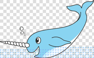 Transparent Arctic Clipart   Cartoon Transparent Background Narwhal  HD Png Download