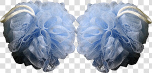 Sponge Bath Png   Ruffle  Transparent Png