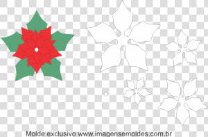 Molde Flor De Natal  HD Png Download