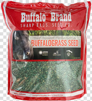 Reed Grass Png  Transparent Png