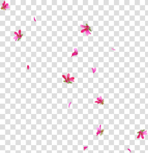  rain  interesting  art  tumblr  pngs  png  flowers   Transparent Flower Rain Png  Png Download