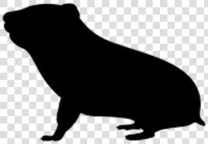 Transparent Hamster Black And White Clipart  HD Png Download