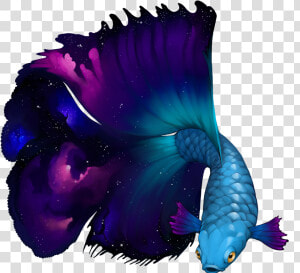 Betta Nebula Clipart   Png Download   Illustration  Transparent Png