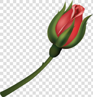 Floribunda  HD Png Download