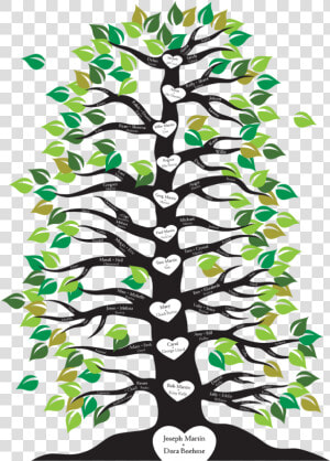 Image Result For Family Tree With Roots And Branches   Family Tree With Roots Clipart  HD Png Download